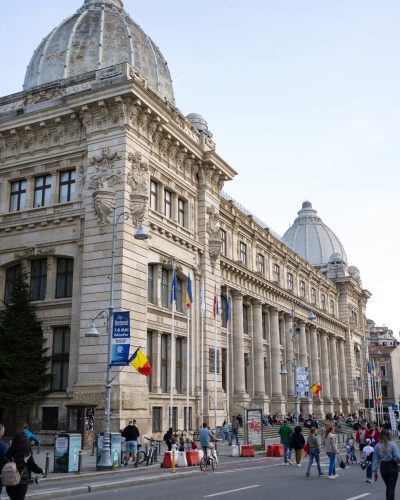 gelu-iancu-PNmv6PZxrdA-unsplash