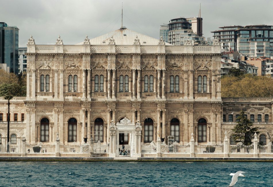 pexels-semih-basaran-353570345-31875230